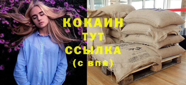 шишки Богданович