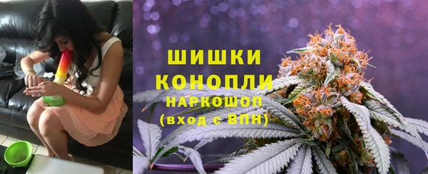 мескалин Богородицк