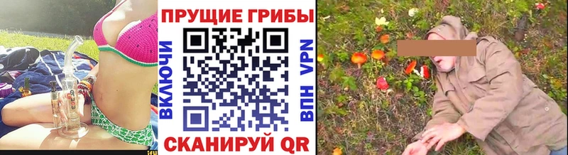 Галлюциногенные грибы Cubensis  мега вход  Кострома 